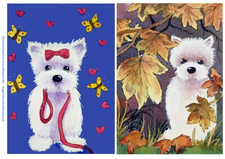 Westie Walkies and Autumn Westie