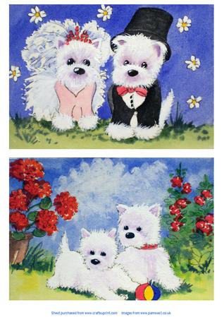 Westie Wedding and Westies Playing