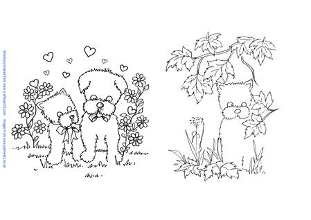 Westie Sweethearts and Autumn Westie