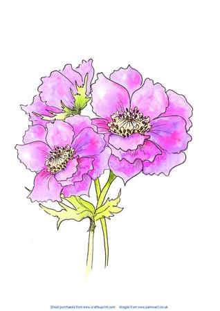 Anemones - Original Art