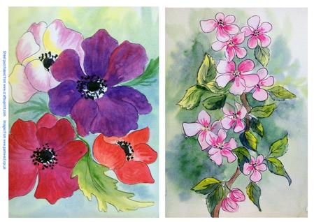 Anemones and Apple Blossom - Original Paintings