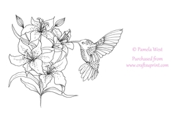 Hummingbird and Lilies Digital Stamp, colouring page. digi stamp Coloring