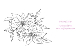 Poinsettia Digital Stamp, colouring page. digi stamp Coloring