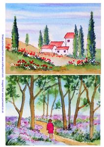 Original Watercolour Paintings Farm in Tuscany and Bluebells