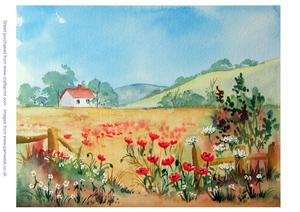 Poppy Field Original Watercolour Painting