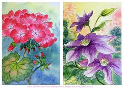 Geraniums and Purple Clematis Toppers