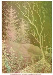 Frsoty Trees Background 5