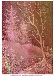 Frosty Trees Background 6