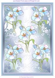 Blue Poppy Watercolour Background