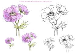 Anemone Digital Stamp and Watercoloured Stamp