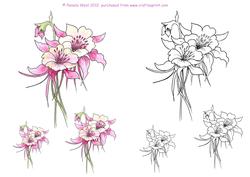 Aquilegia Digital Stamp and Watercoloured Stamp