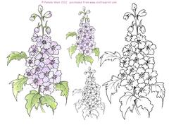 Delphinium Digital Stamps and Watercoloured Stamps