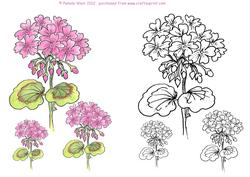 Geranium Digital Stamps and Watercoloured Stamps