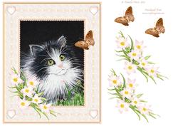 Black and White Kitten with Gold Butterfly