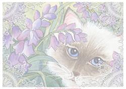 Cat and Bluebells Backing Paper 1