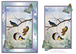 Bluetits and Butterflied Topper