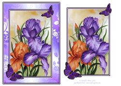 Irises and Butterflies Topper
