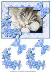 Kitten Sleeping Decoupage