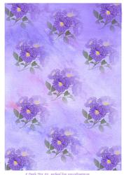 Periwinkle Backing Paper