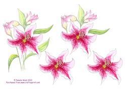 Watercolour Lilies Decoupage Sheet