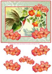 Hummingbird and Freesias Decoupage Sheet