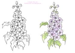 Digital Stamp Delphinium with Coloured Version Too