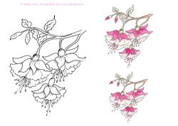 Digital Stamp Fuschia with Coloured Version Too