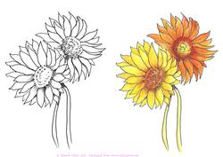 Digital Stamp Gerbera with Coloured Version Too