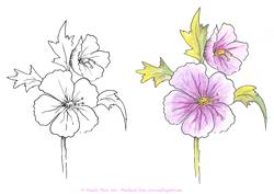 Digital Stamp Hibiscus with Coloured Version Too
