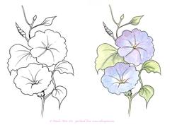 Digital Stamp Morning Glory with Coloured Version Too