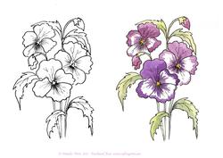 Digital Stamp Pansies with Coloured Version Too