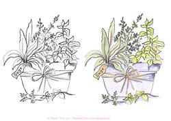 Digital Stamp Pot of Herbs with Coloured Version Too