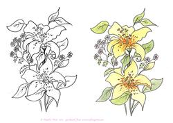 Digital Stamp Yellow Lilies with Coloured Version Too