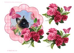 Siamese Cat with Rose Floral Frame