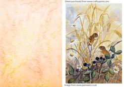 Dormouse and Blackberries Watercolour Topper and Background