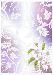 Daisies and Lace Watercolour Background