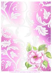 Camelia and Lace Watercolour Background