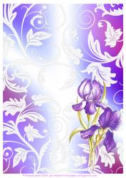 Irises and Lace Watercolour Background