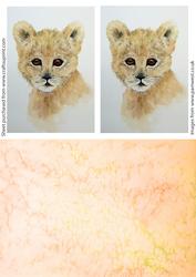 Lion Cub Watercolour Topper and Background