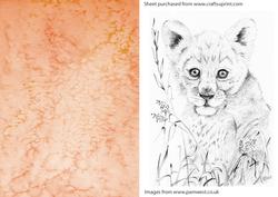 Lion Graphite Drawing Topper and Watercolour Background