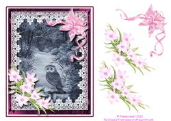 Owl in the Woods with Decoupage Sheet