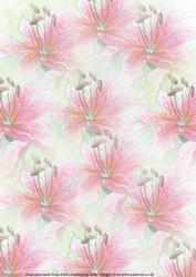 Lilies Watercolour Vellum