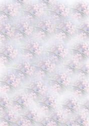Appple Blossom Watercolour Vellum