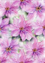 Clematis Watercolour Background Sheet