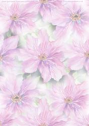 Clematis Watercolour Vellum
