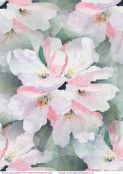 Apple Blossom 2 Watercolour Background