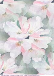 Apple Blossom2 Watercolour Vellum