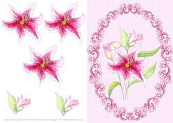 Watercolour Lily Decoupage Sheet