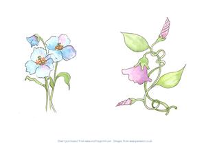 Watercolour of Columbine and Blue Poppy