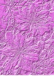 Embossed Pink Clematis Backing Paper